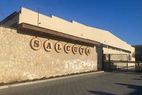 Facade of the winery Salcuta