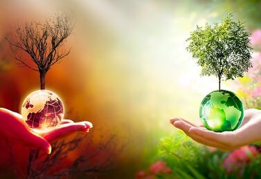 World Environment Day: Carrying the world on our hands