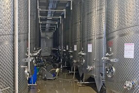 Machines for wine production at Asconi