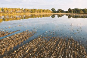 Aguas de drenaje del vertedero