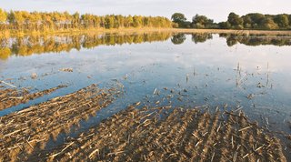 Landfill soakage water